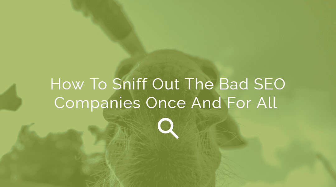 How To Sniff Out The Bad SEO Companies Once And For All