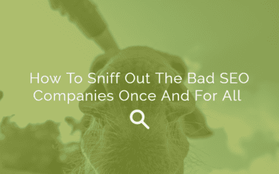 How To Sniff Out The Bad SEO Companies Once And For All